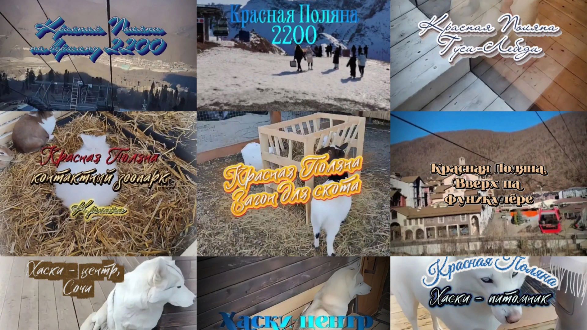 Красная Поляна Сочи. Роза Хутор. Берег чёрного моря.