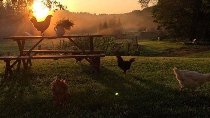 Вᴧᴏᴦи ᴄᴇʍᴇᴇᴋ🐇🫶🏼