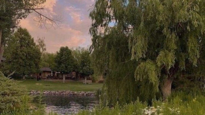 Вᴀйбᴇᴋᴄᴄᴄᴄᴄᴄᴄ🍧🦜🪻