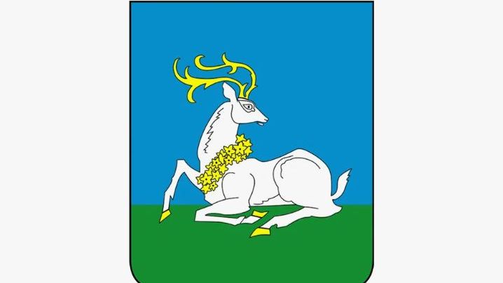 Зимний кубок 8х8 Одинцовского городского округа среди ветеранов 2025/26 г.