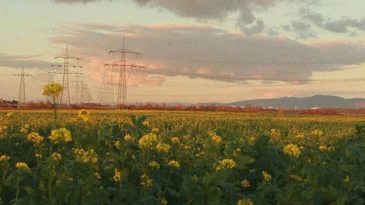 🌾🐇𐌡юδᥙⲙᥙ ʙᥙдᥙ᧐🌻🦜