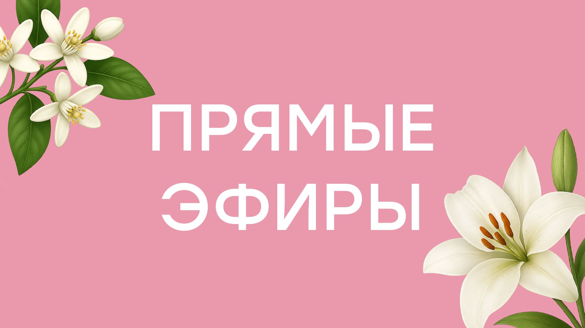 Прямые эфиры
