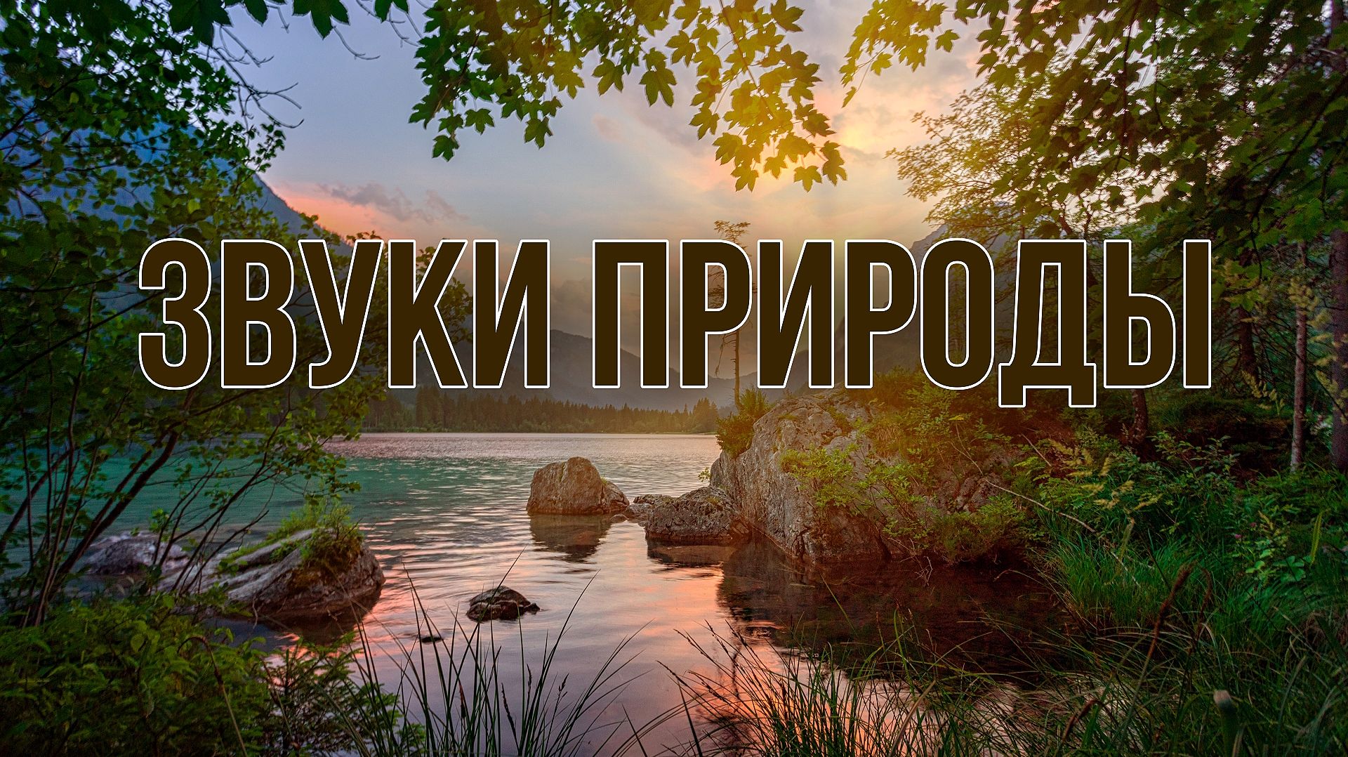 🌷 Звуки природы — вода, лес, ручьи, водопады