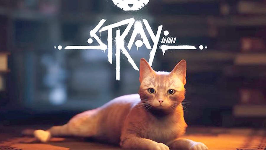 Stray