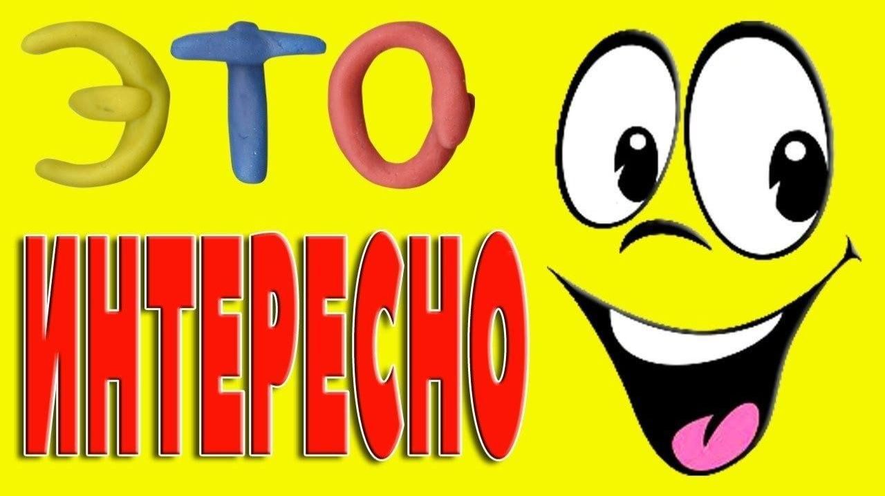 ⁉️А ВЫ ЗНАЛИ⁉️