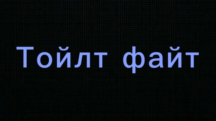 Тойлт файт