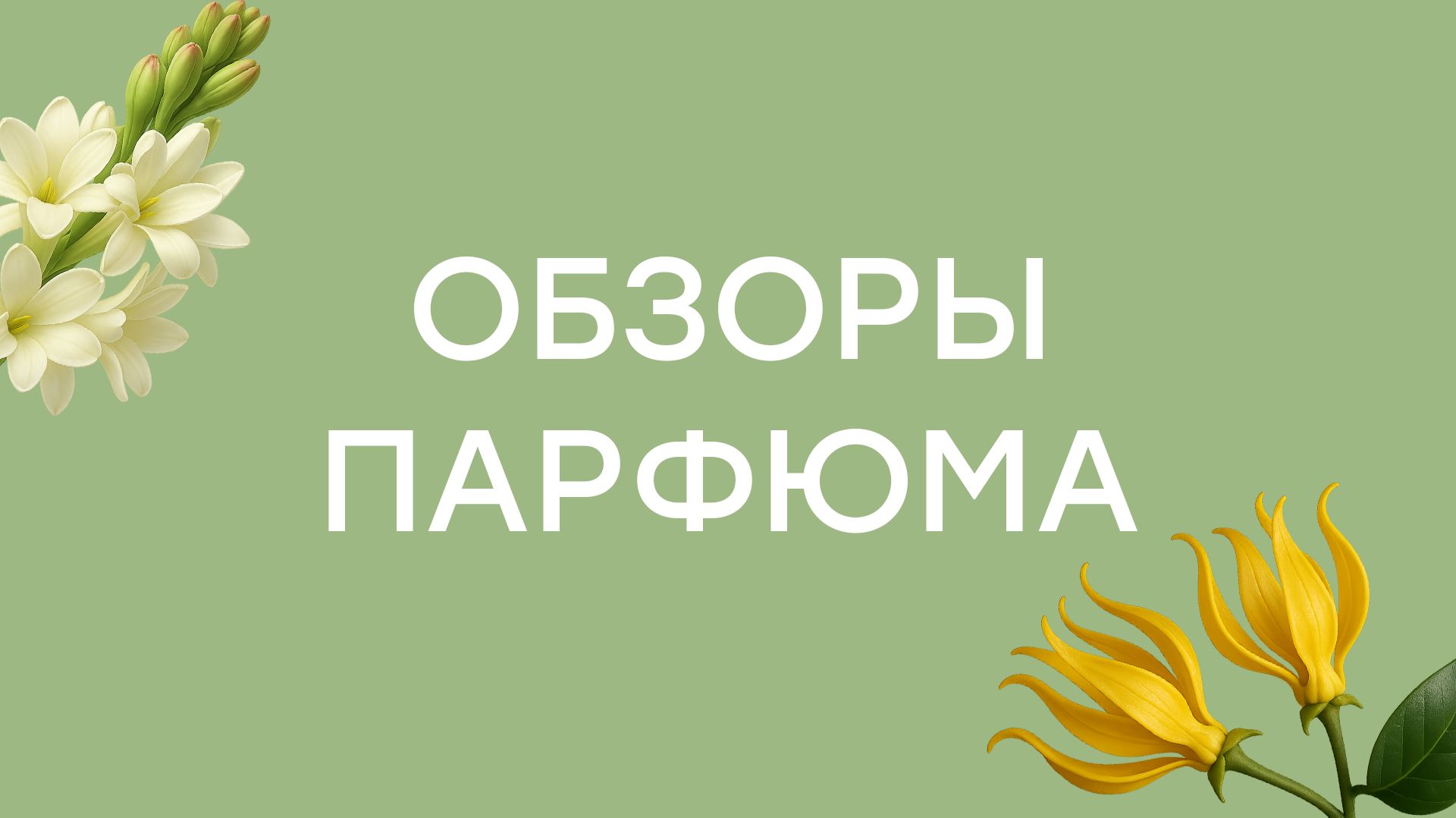 Обзоры парфюма