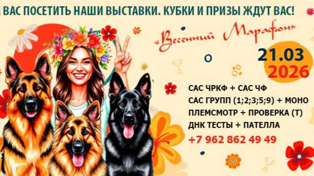 КЧК НОВОРОССИЙСК 21 марта`26 K.Sozeri Моно немецких овчарок