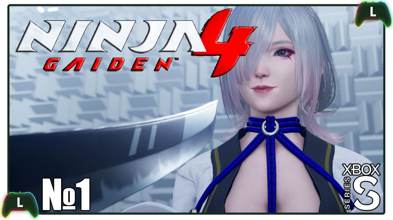 Ninja Gaiden 4