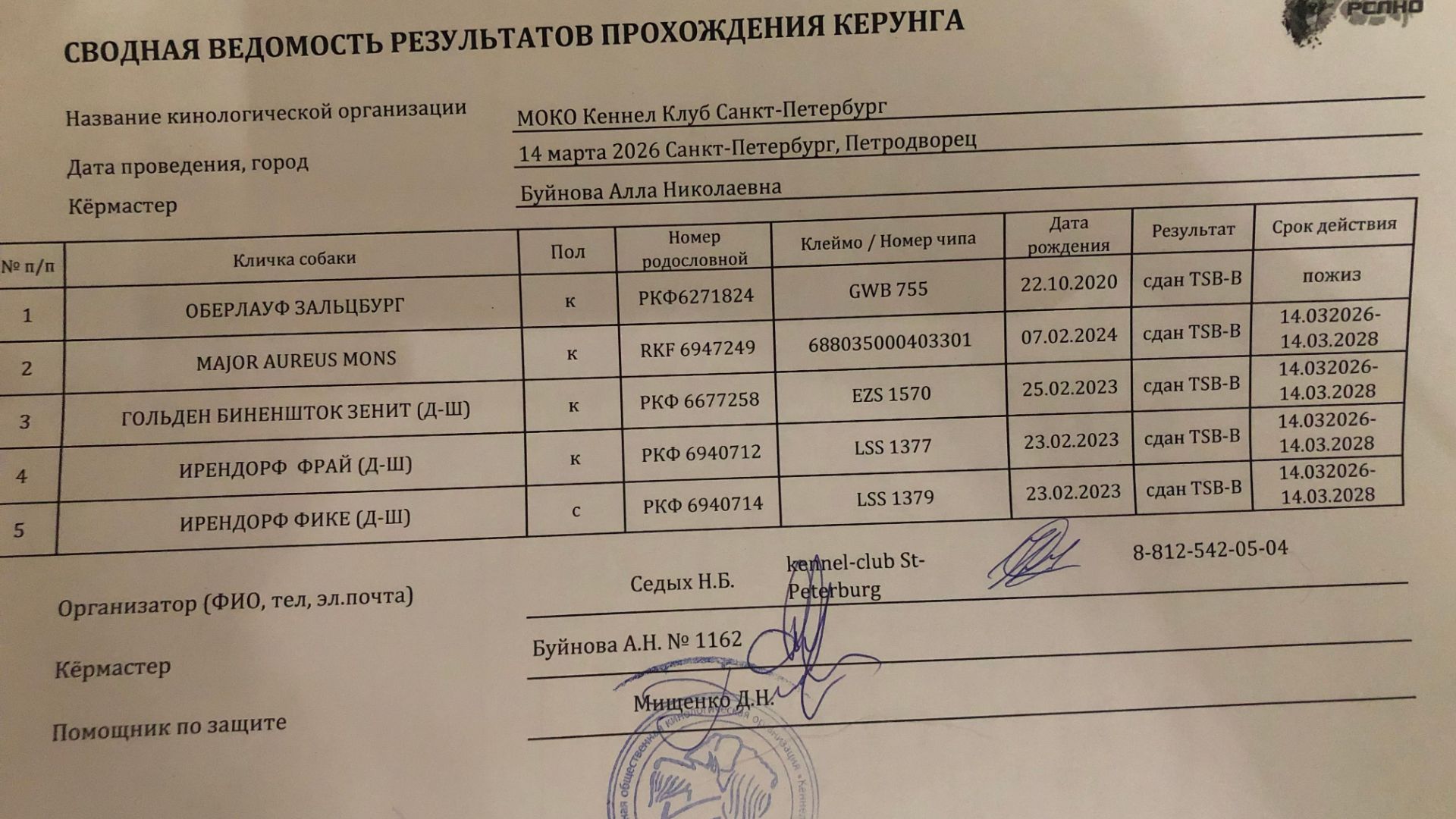 Кёрунг САНКТ-ПЕТЕРБУРГ 14 мар`26 (А.Буйнова) 5 собак