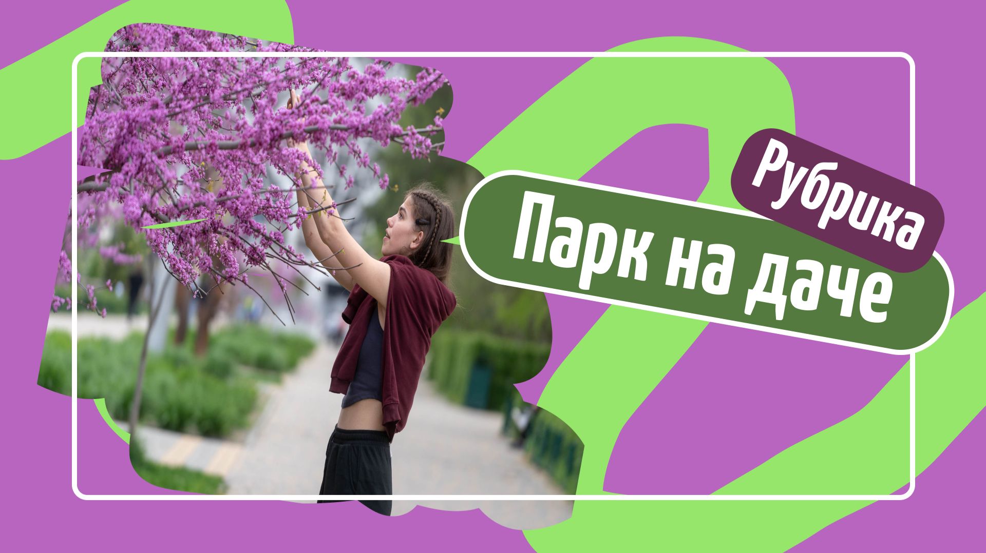 Парк на даче