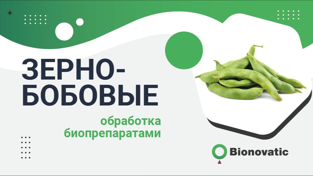 программа Соя/Зерновбобовые