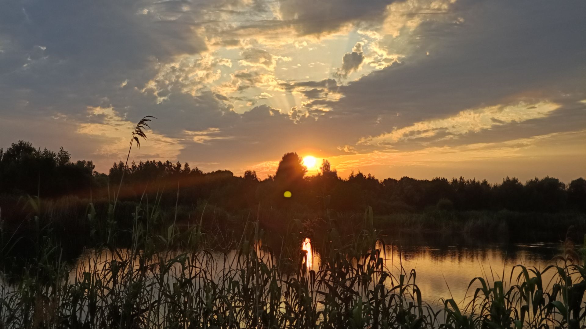 ЗДОРОВЬЕ
