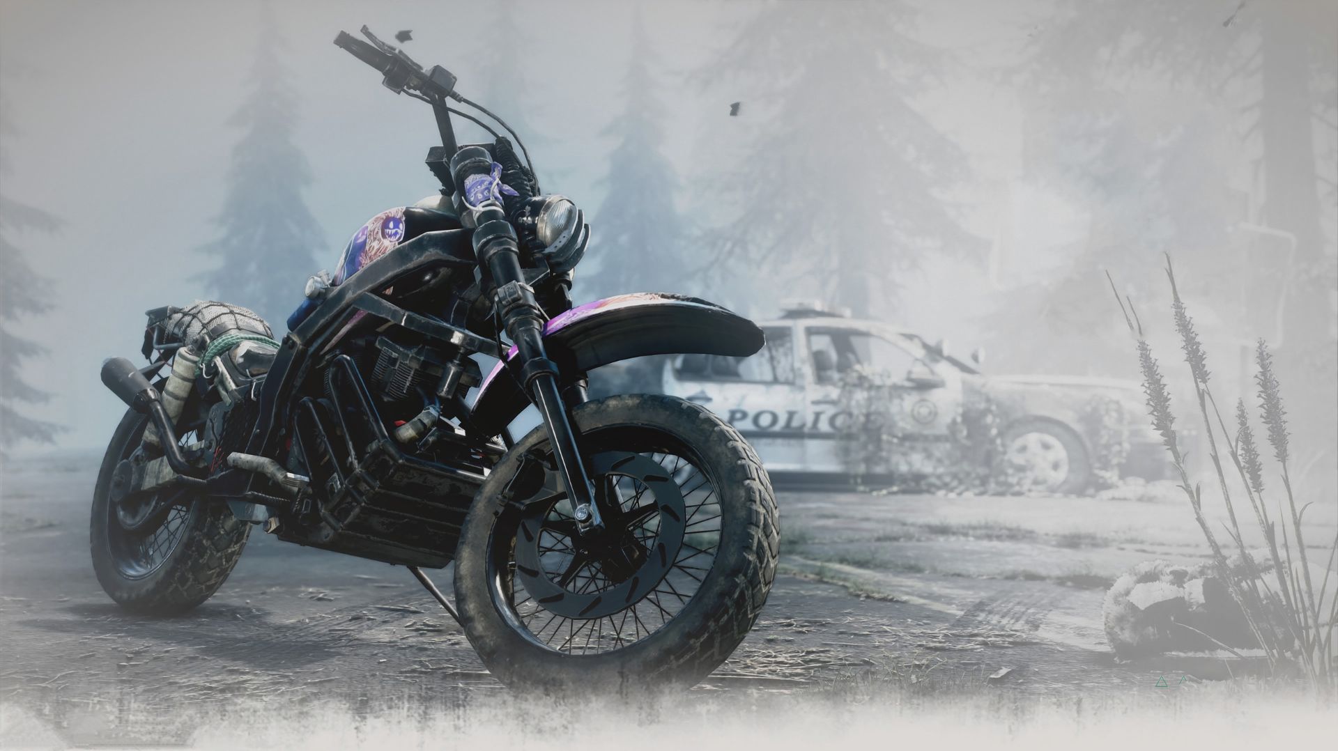 Days Gone