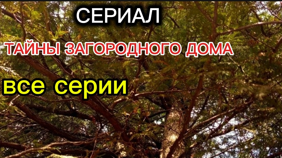 СЕРИАЛ:тайны загородного дома🏴‍☠️