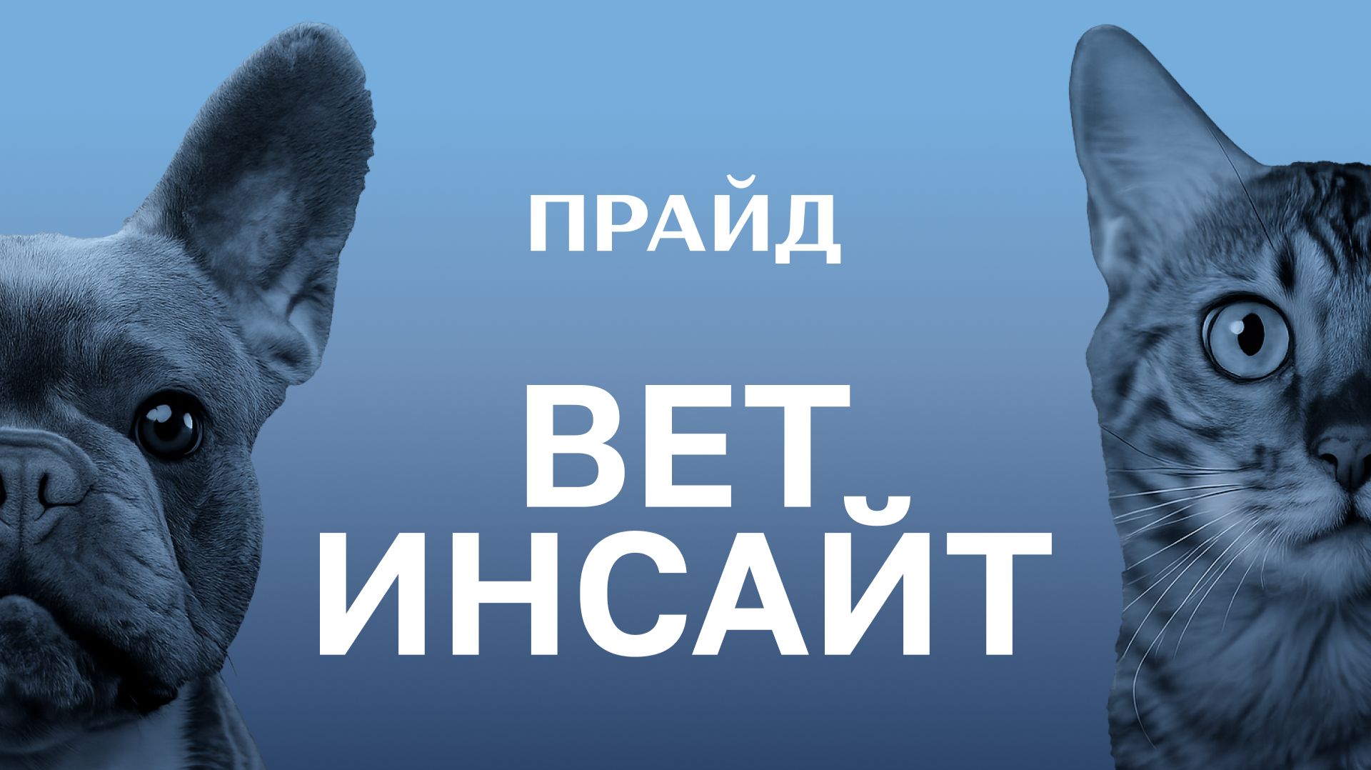 ВетИнсайт