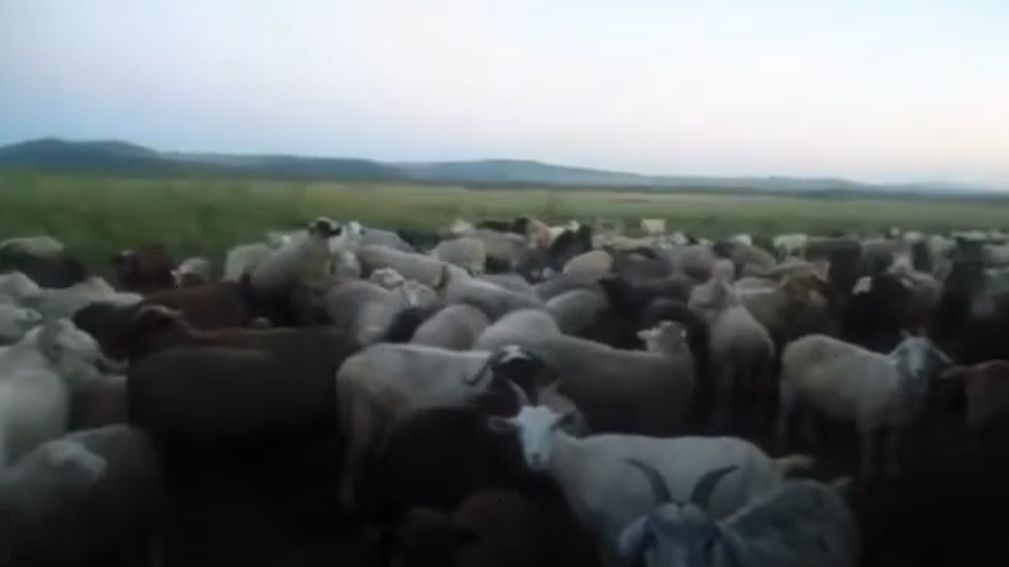 Сибирское село