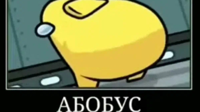 абобус