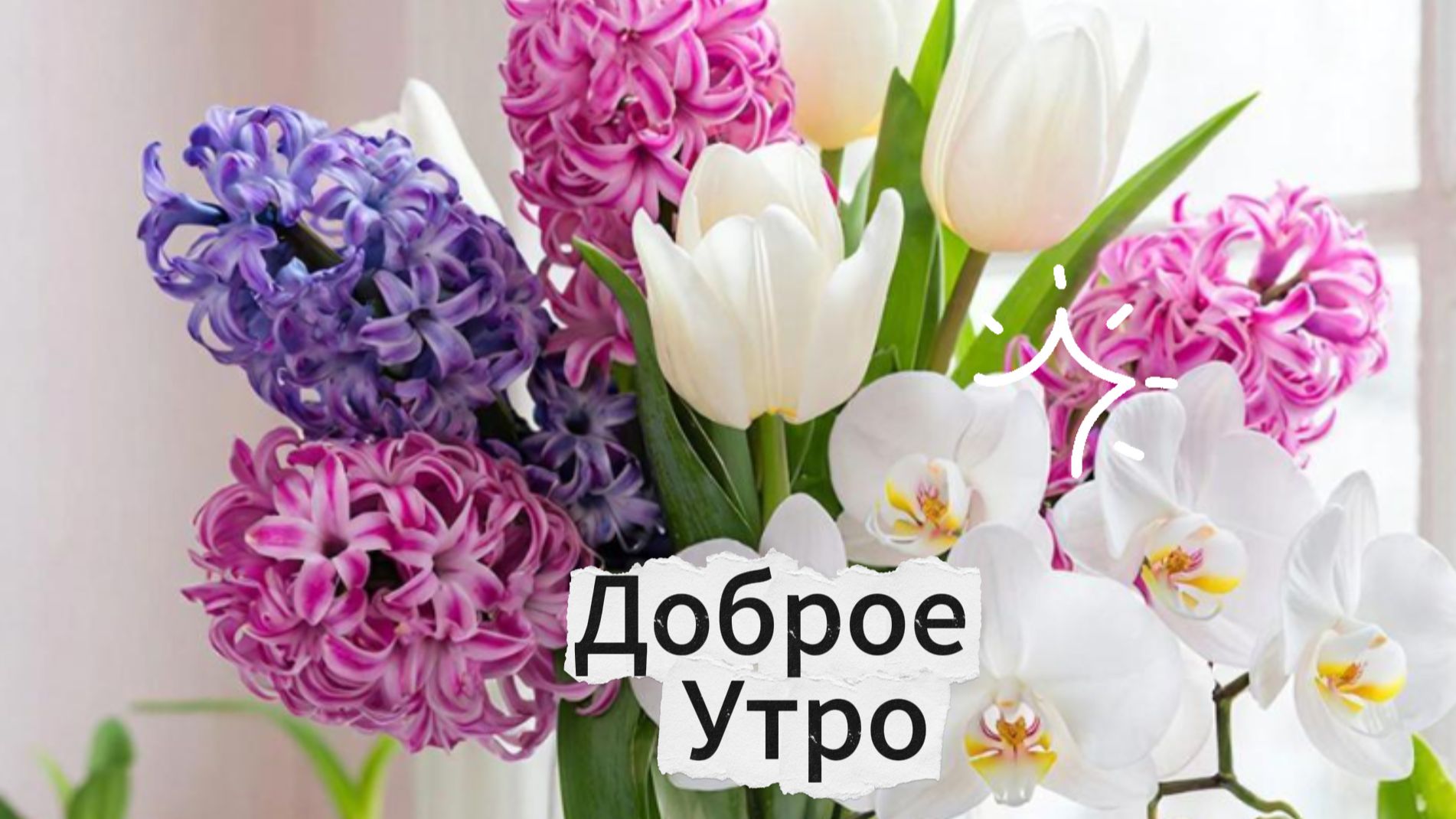 Доброе утро: красивые открытки и пожелания | Домохозяйка Ната