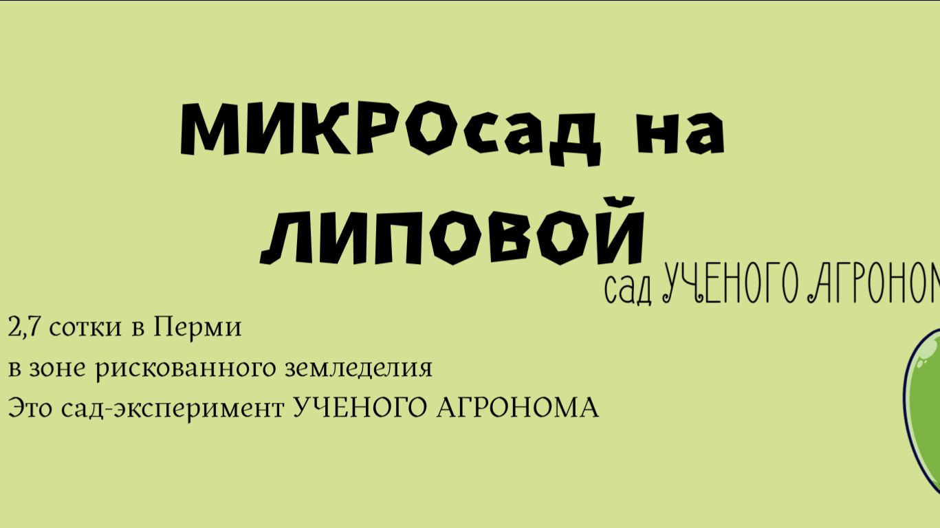 Микросад на Липовой