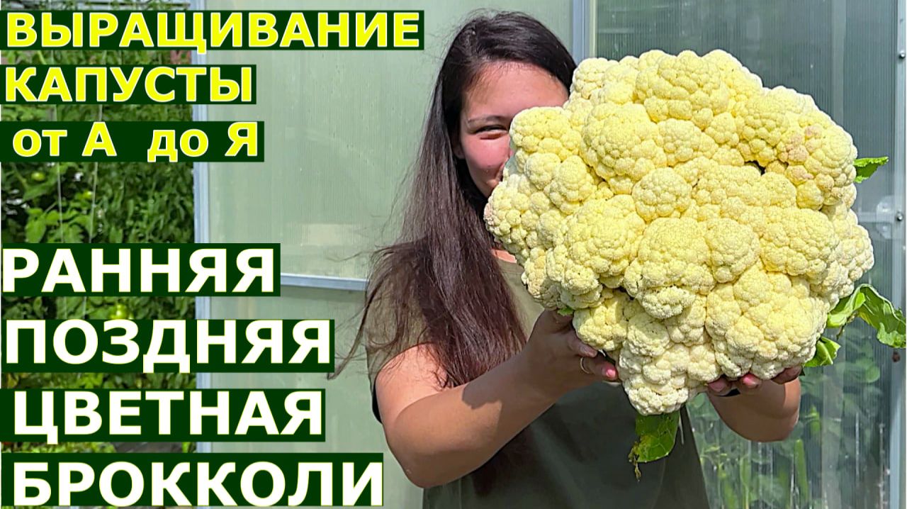 ВЫРАЩИВАНИЕ ЛЮБОЙ КАПУСТЫ. ОТ семян ДО урожая.