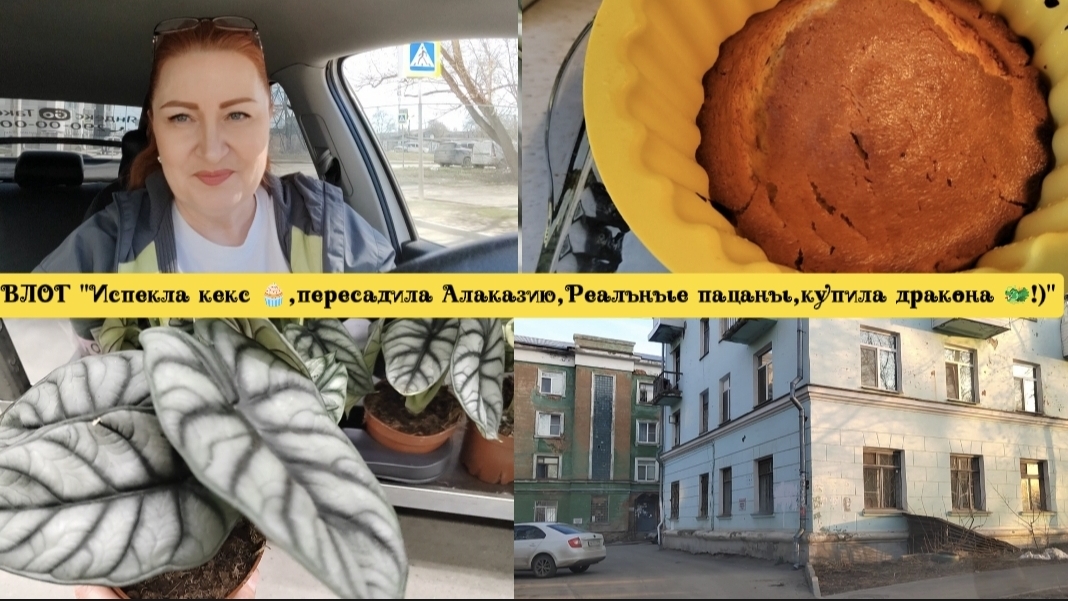 ВЛОГИ