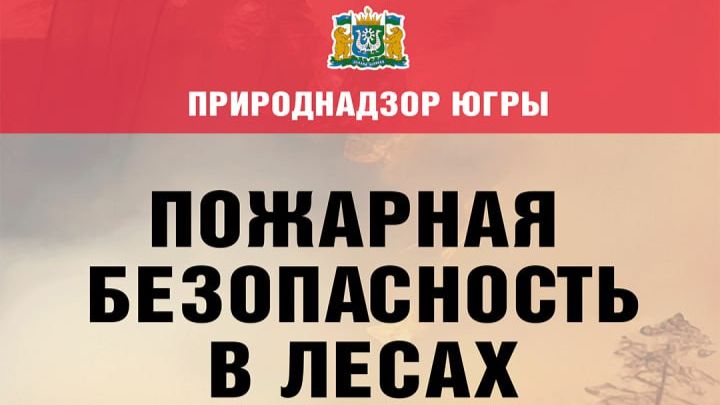 Пожарная безопасность в лесах