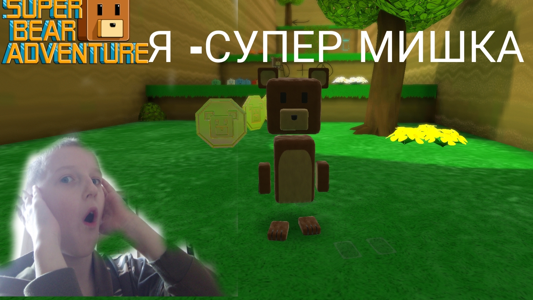 Super bear adventure
