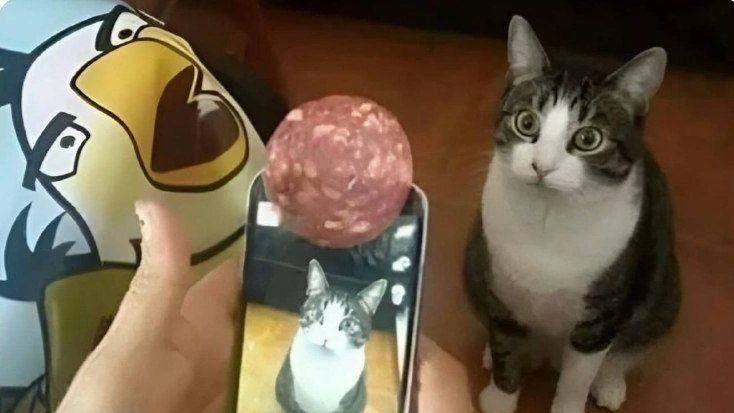 Смех с котами