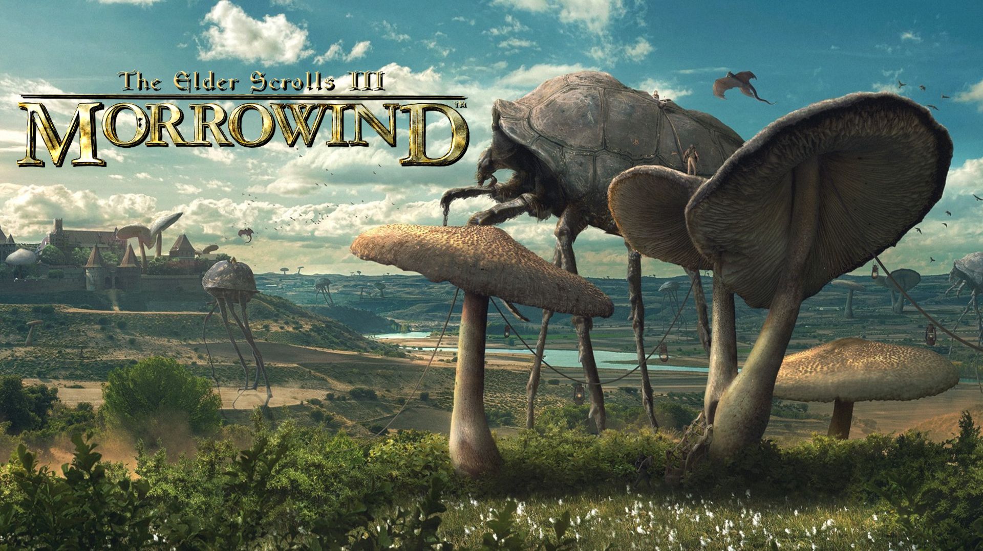 The Elder Scrolls 3: Morrowind