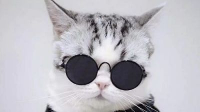 ЧГ