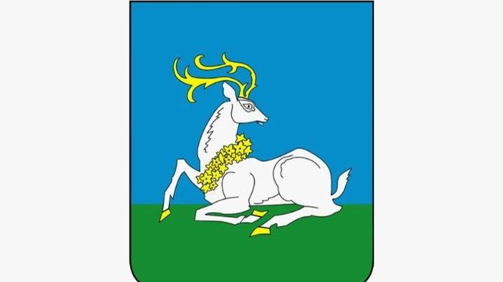 Чемпионат 11х11 Одинцовского городского округа среди мужских команд 2026 г.