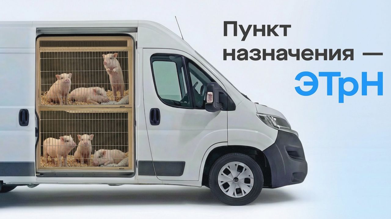 Спецпроект «Пункт назначения - ЭТрН»