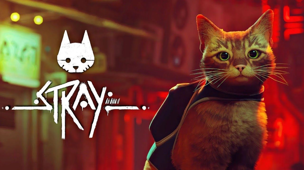 Stray
