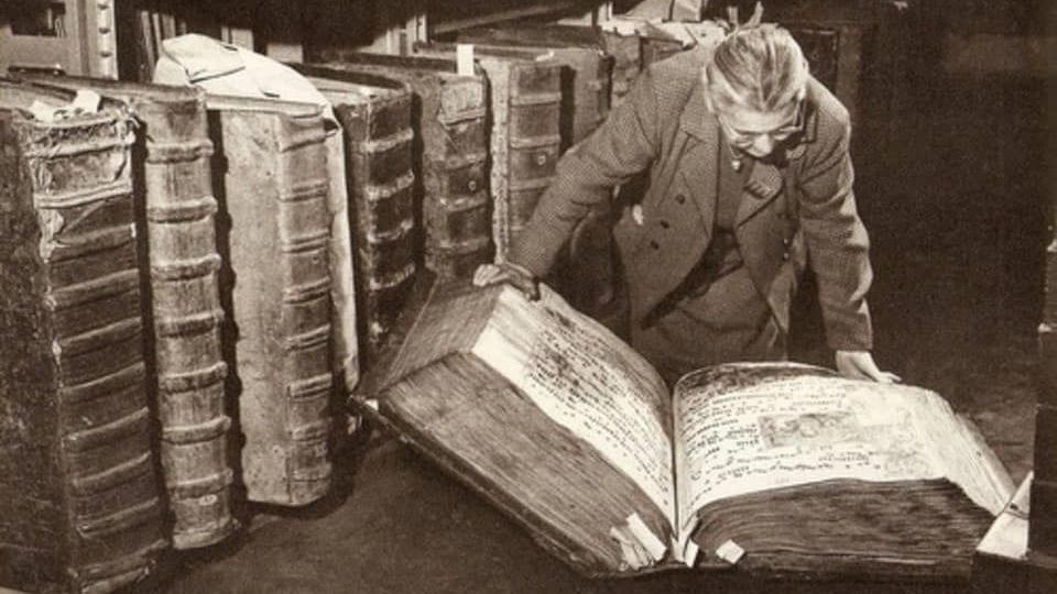 Библиотека📚
