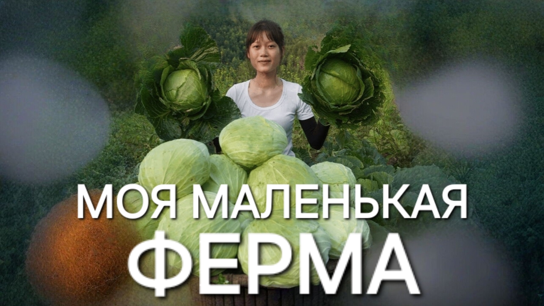 Моя маленькая ферма