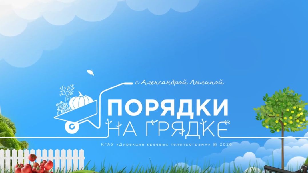 Порядки на грядке