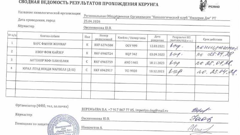 Кёрунг АЛЬМЕТЬЕВСК 25 апр`26 (Ю.Овсянникова) 4 собаки