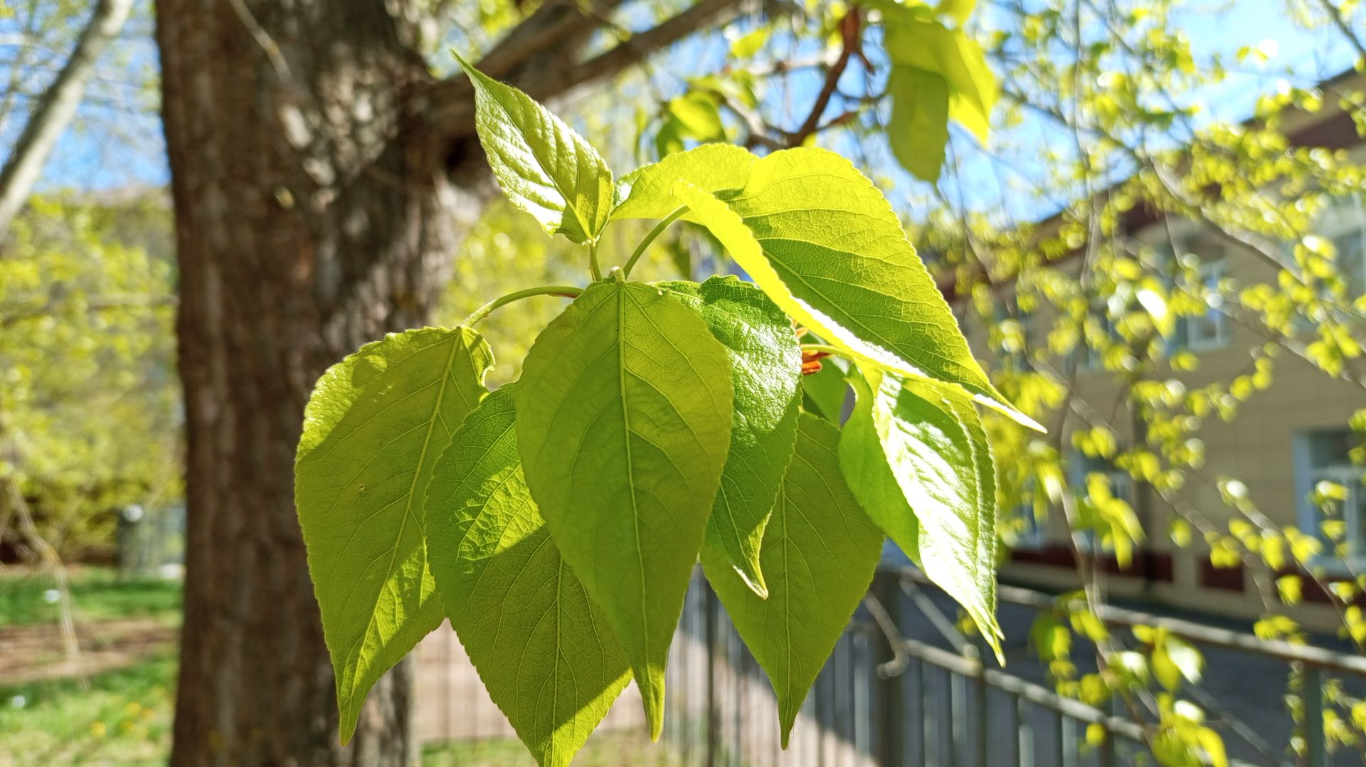 МОИ ФОТОПОДБОРКИ