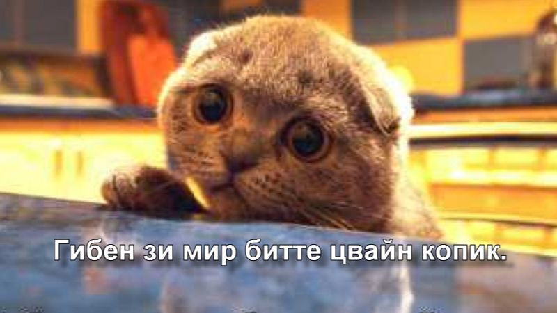 Короткие видео