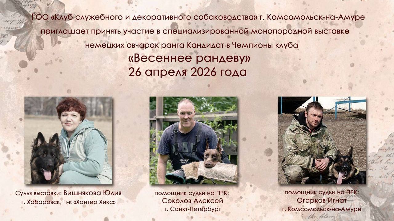 КЧК КОМСОМОЛЬСК-НА-АМУРЕ 26 апреля`26 Ю.Вишнякова Моно немецких овчарок