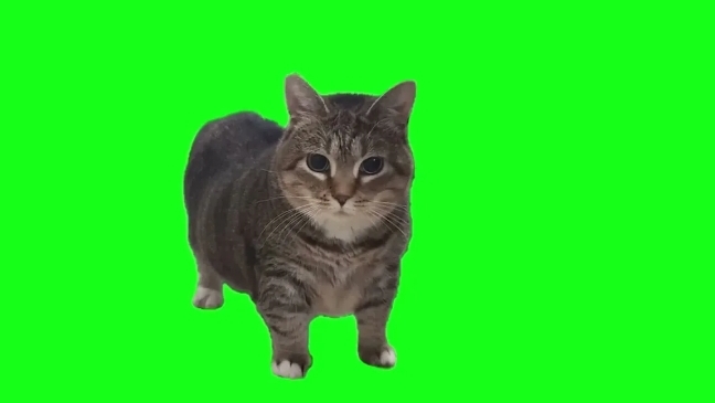 Оценки
