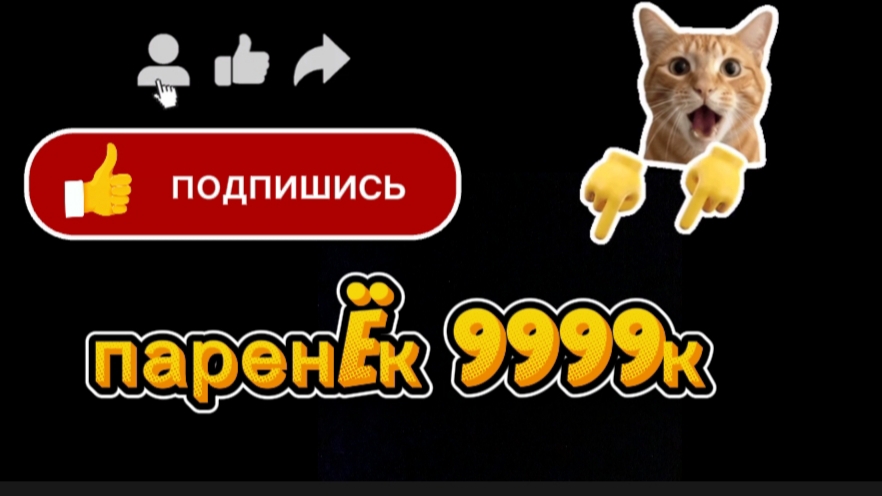заставки