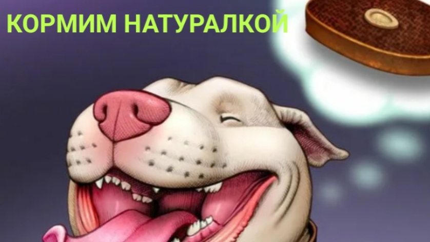 натуральное питание для собак