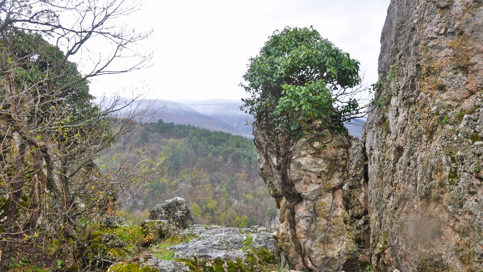 Хаплу-Кая (гора, Крым)