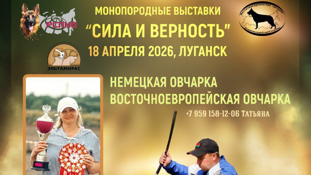 КЧК ЛУГАНСК 18 апреля`26 Л.Косашвили Моно немецких овчарок