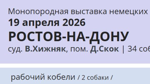 КЧК РОСТОВ-НА-ДОНУ 19 апреля`26 В.Хижняк Моно немецких овчарок