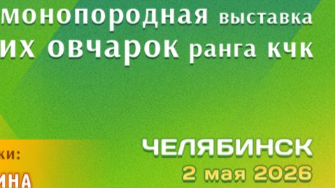 КЧК ЧЕЛЯБИНСК 2 мая`26 И.Герлеман Моно немецких овчарок