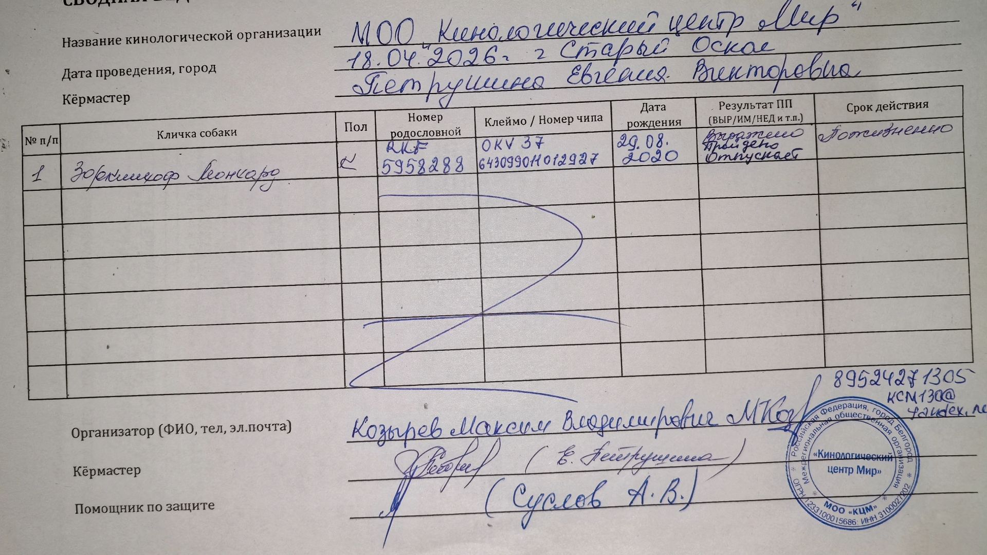 Кёрунг СТАРЫЙ ОСКОЛ 25 апр`26 (Е.Петрушина) 1 собака