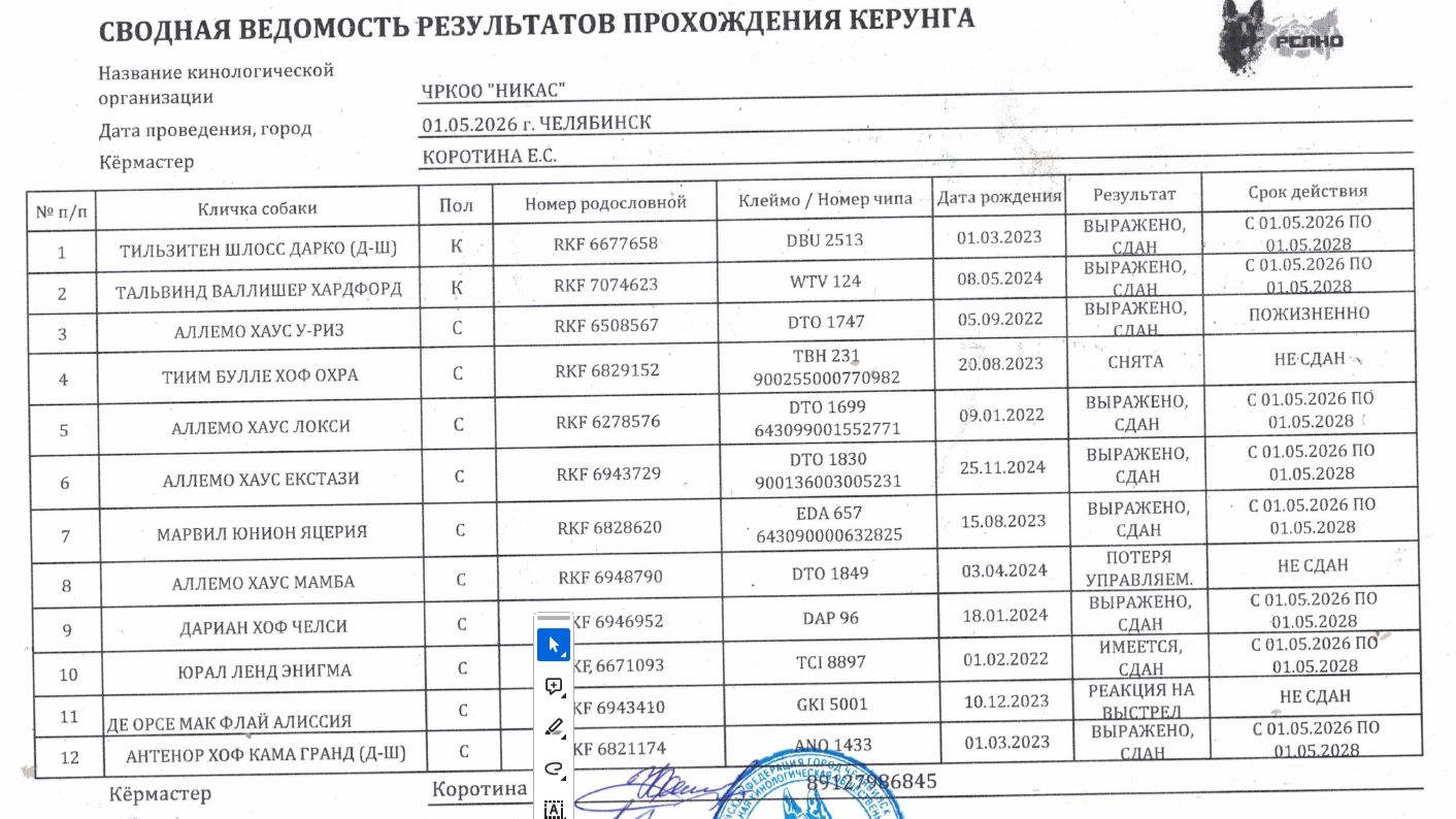 Кёрунг ЧЕЛЯБИНСК 01 мая`26 (Е.Коротина) 12 собак